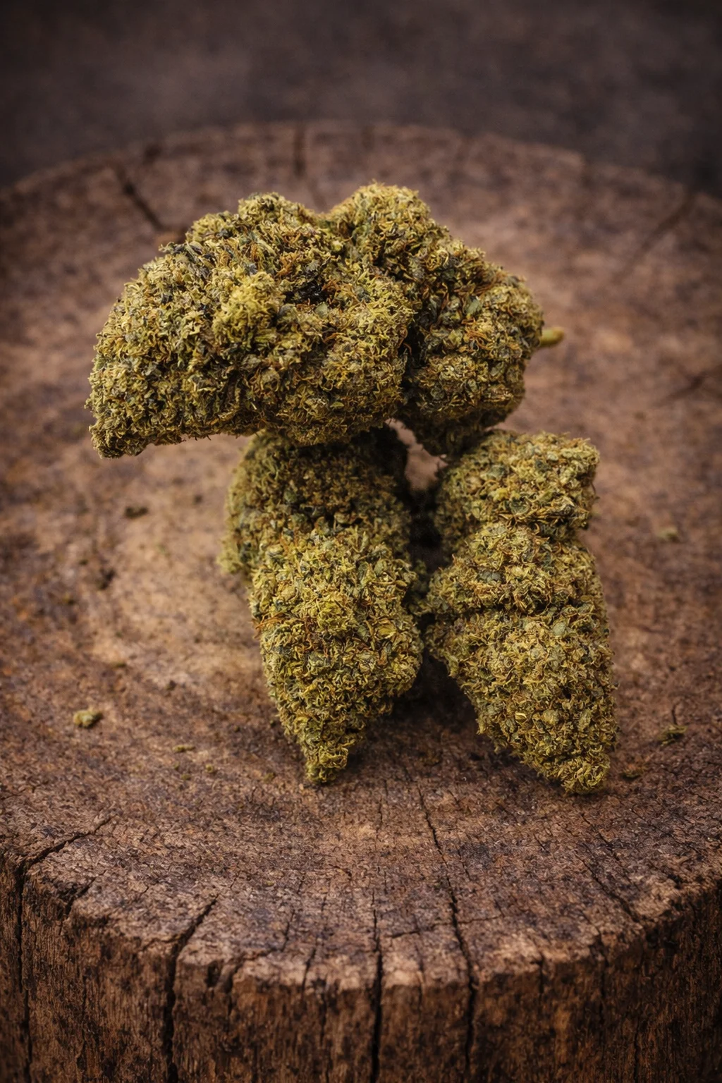 Fleur CBD Tangerdown – CBD Résine