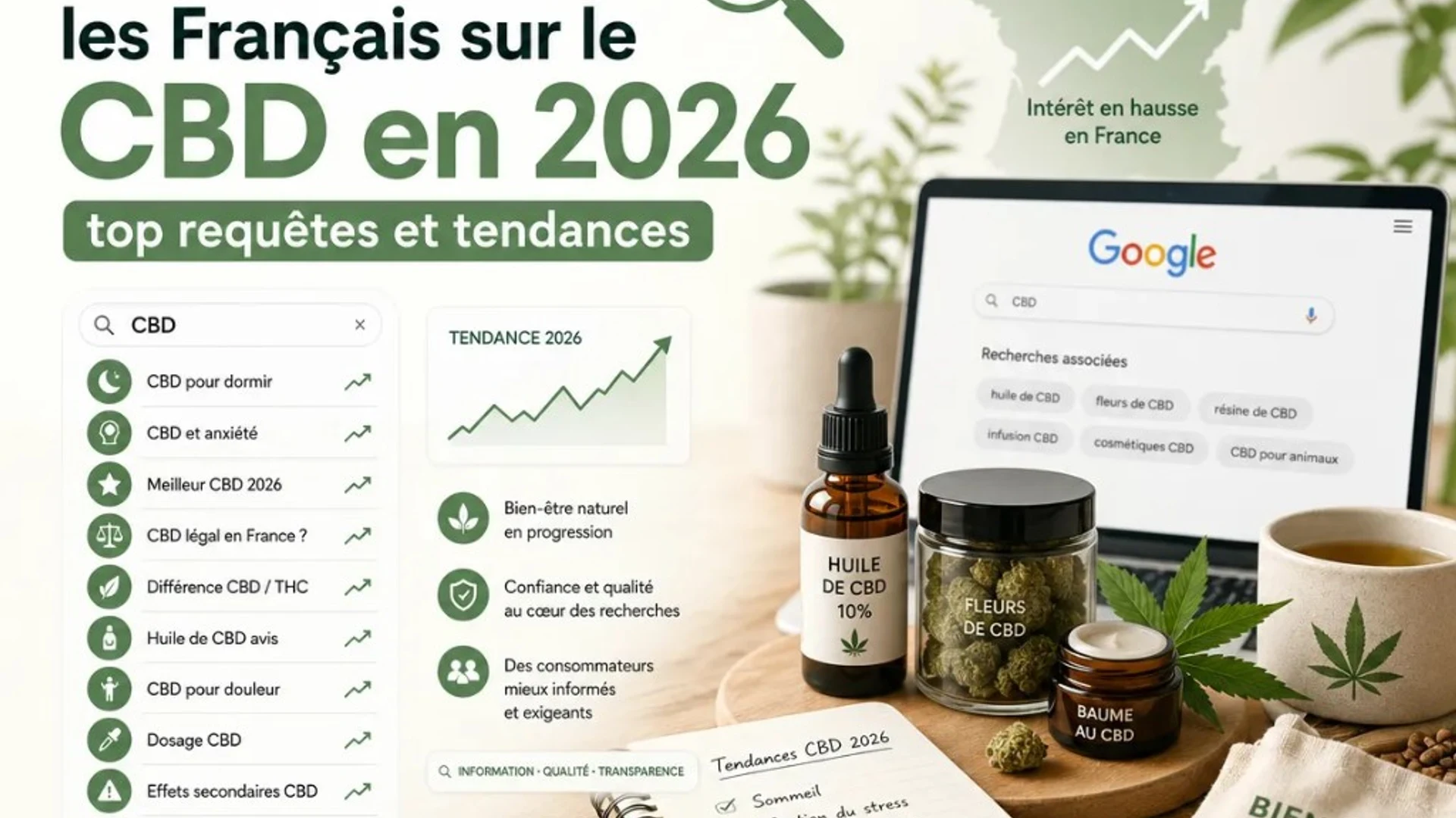 Ce que cherchent les Français sur le CBD en 2026 : top requêtes et tendances